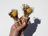 Palo Santo + Quartz Crystal Bundle