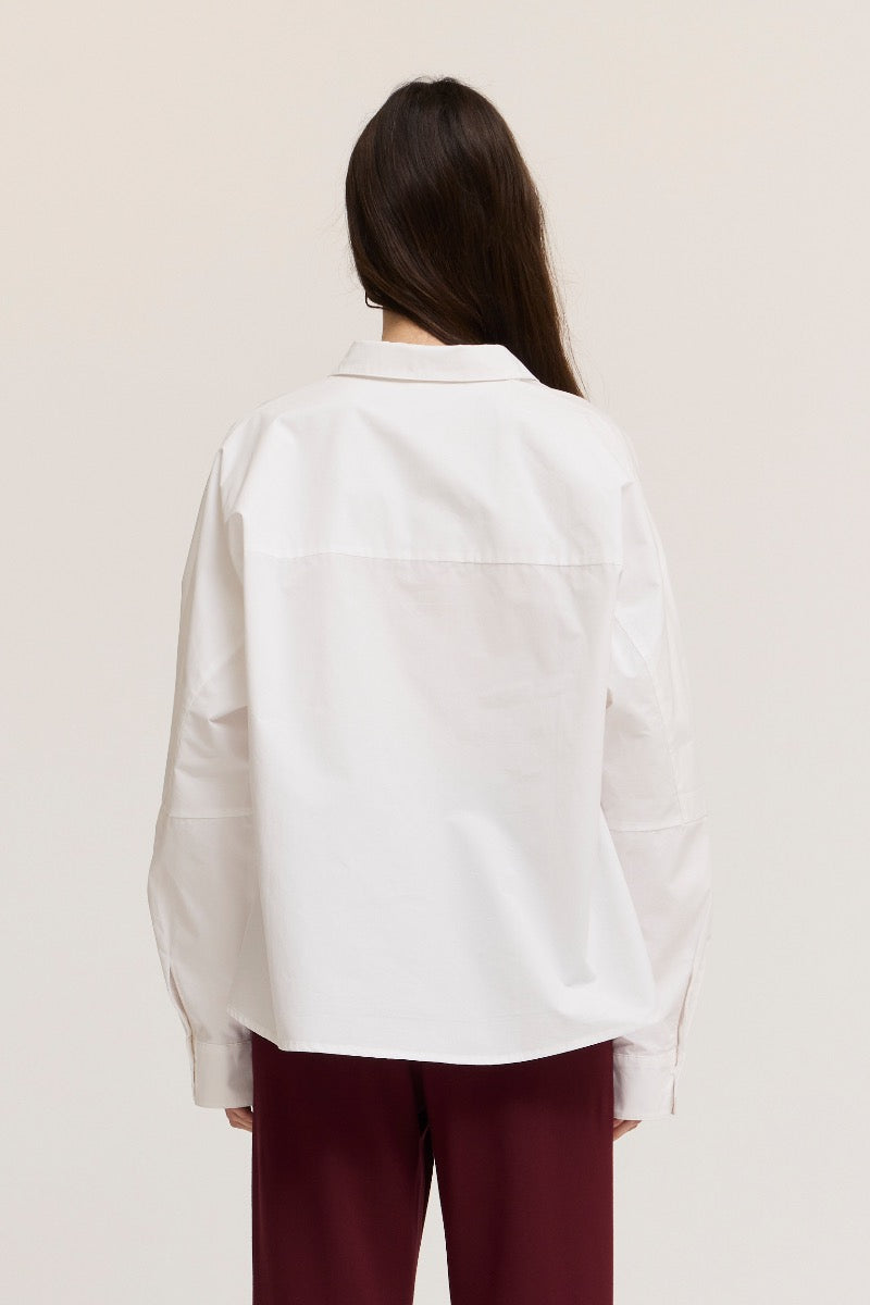 Boyd Button Down