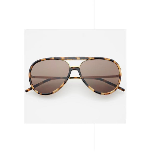 Shay Sunglasses • Tortoise