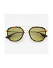 Weston Sunglasses • Tortoise / Fade Green