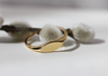 Nouvelle Signet Ring