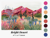 Bright Desert Paint By Number