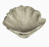 Concrete Clam Shell