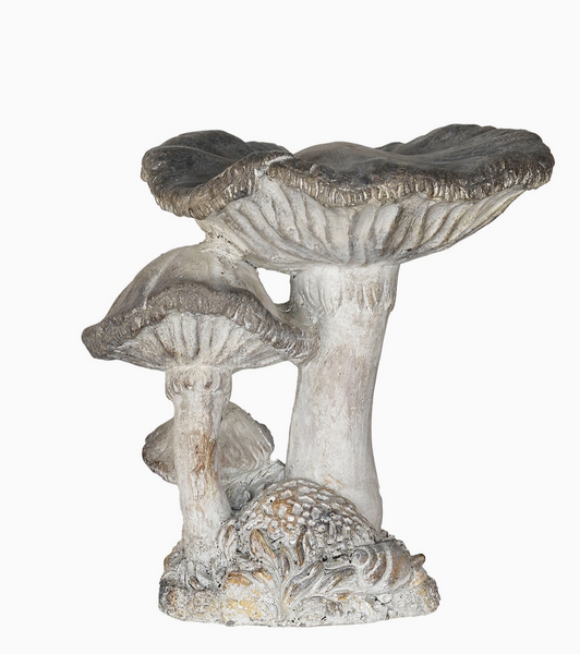 Three Cap Mushroom Specimen