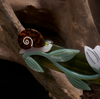 Brocéliande Hair Clip