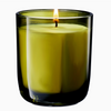 Fraser Fir Scented Candle