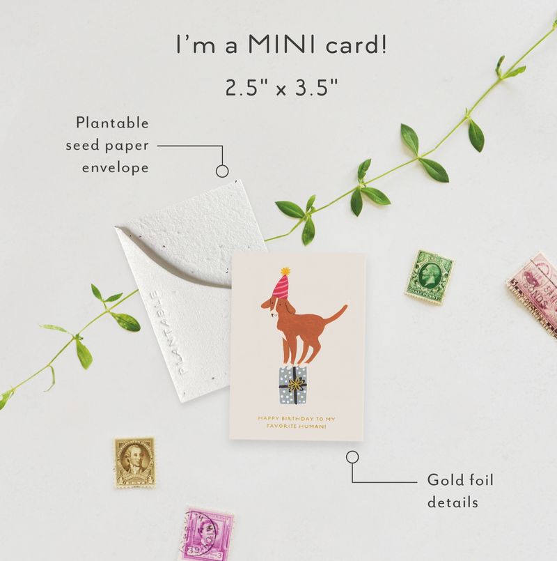 Mini Greeting Card • Birthday Dog