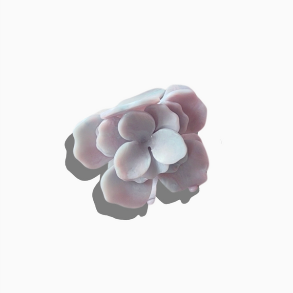 Gardenia Flower Hair Claw