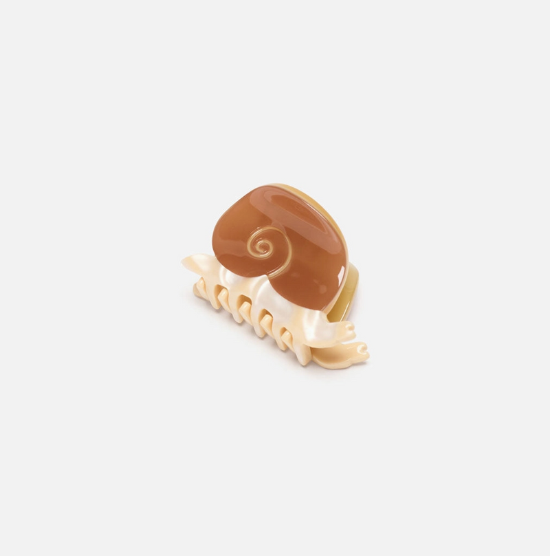 Mini Snail Hair Claw • Brown