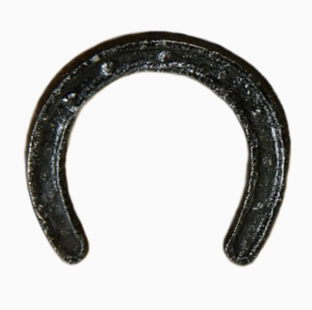 Cast Iron Horseshoe