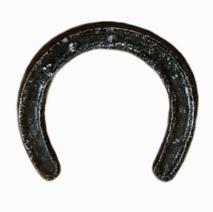 Cast Iron Horseshoe