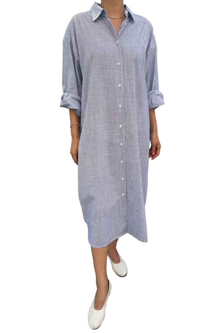 Artist Shirt Dress