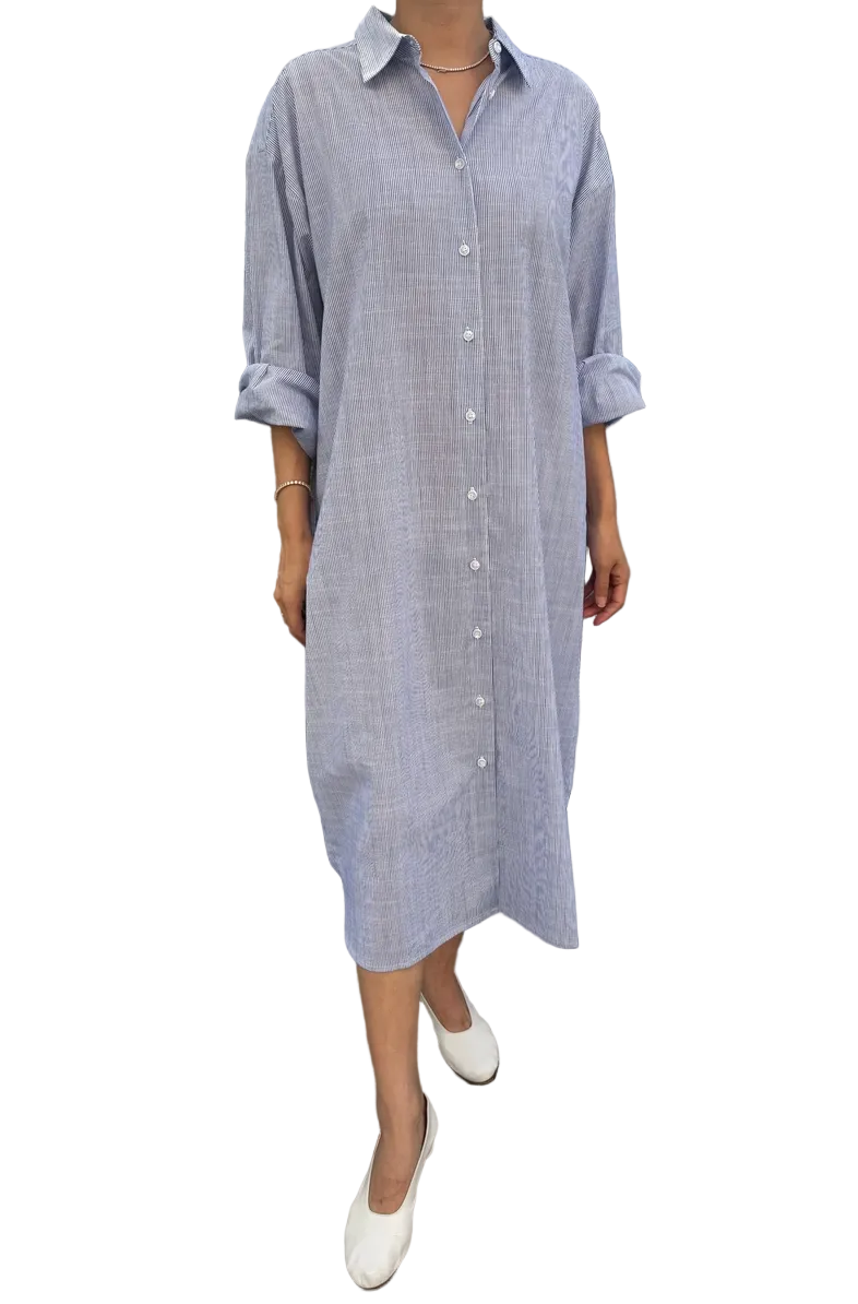 Artist Shirt Dress