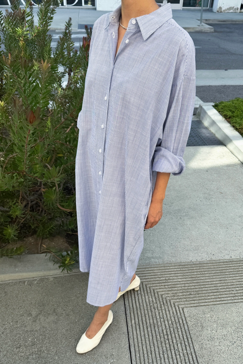 Artist Shirt Dress