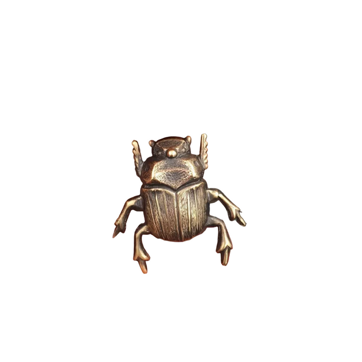 Brass Scarab Beetle Brooch