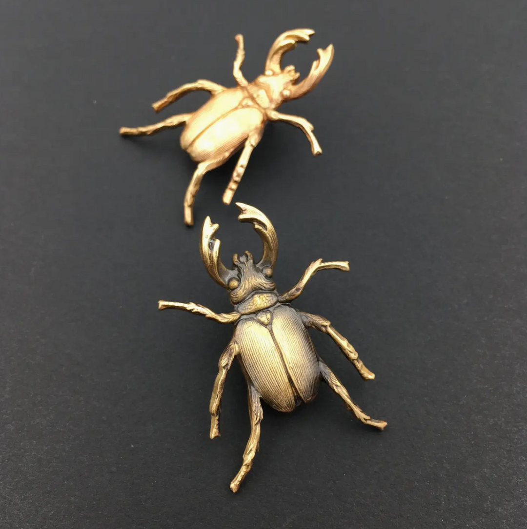 Brass Stag Beetle Brooch