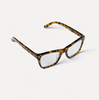 Camila Readers • Tortoise