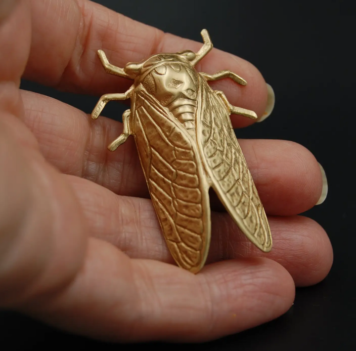 Cicada Pin Brooch