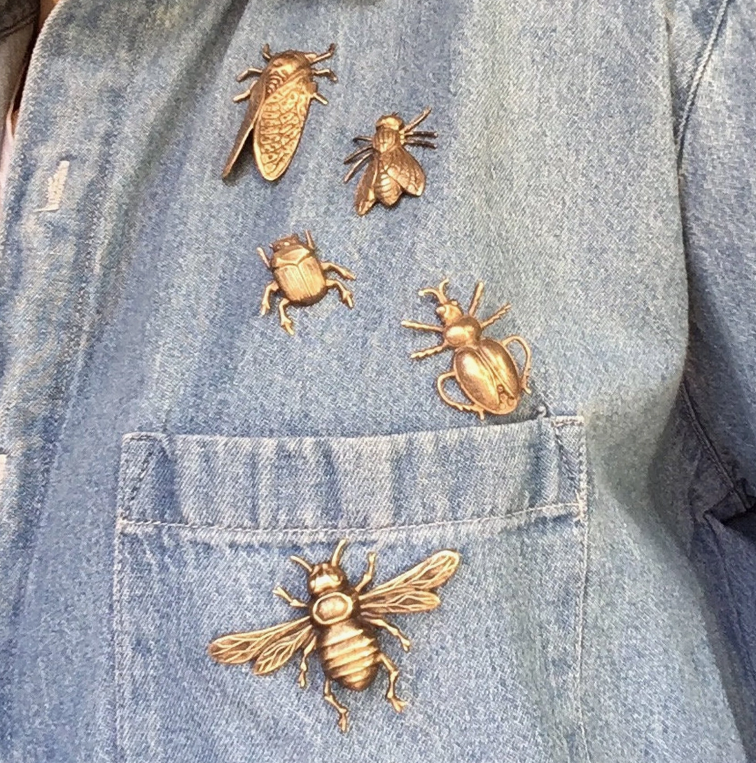 Brass Scarab Beetle Brooch