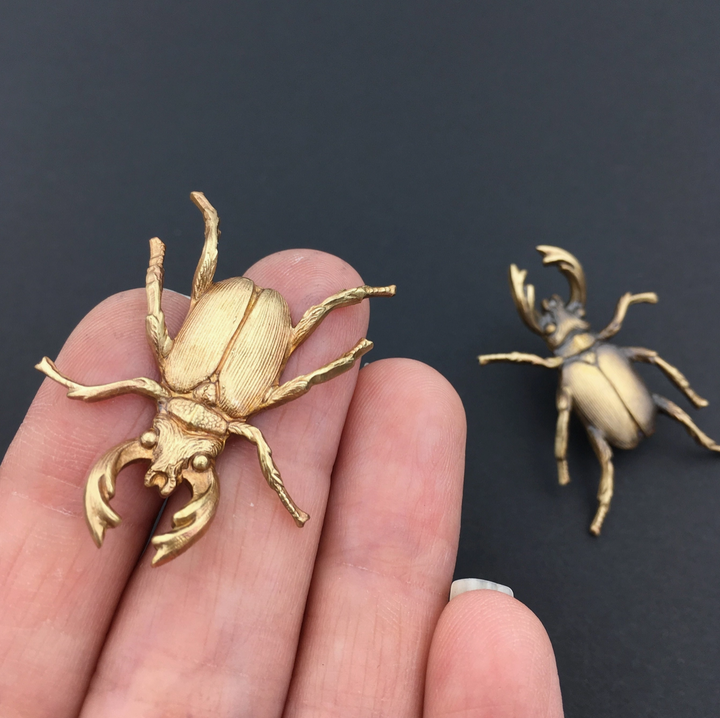 Brass Stag Beetle Brooch