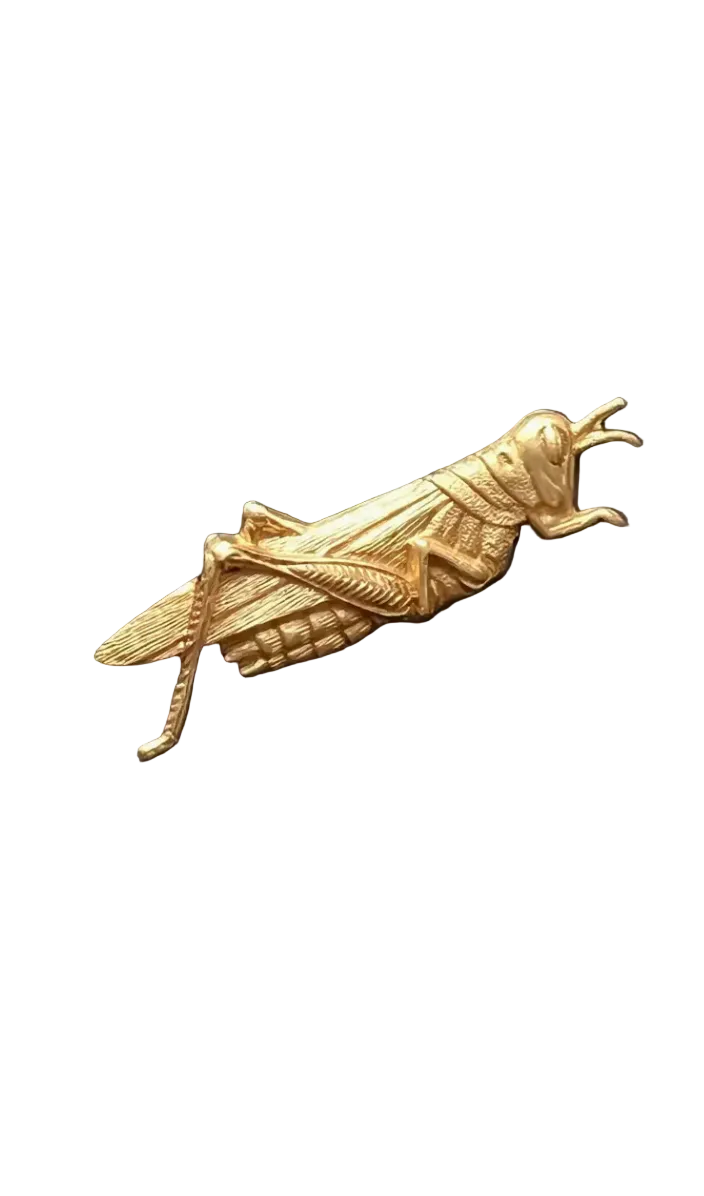 Brass Grasshopper Brooch