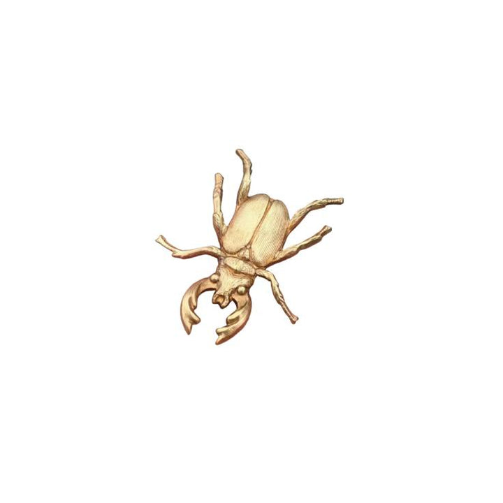 Brass Stag Beetle Brooch