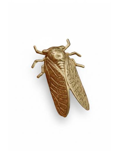 Cicada Pin Brooch