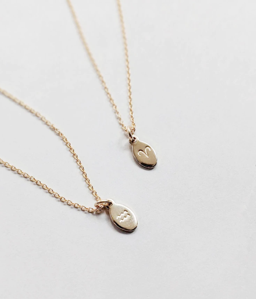 Delicate Zodiac Necklace