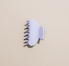 2" Hair Claw in Plum