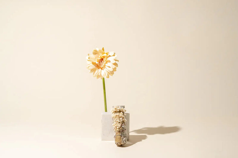 White Sage + Wildflowers Smudge Stick